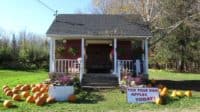 Roadside stand Newport Rd